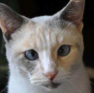 Meet your Posher, Lynn